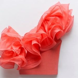 Zara ruffled knit organza top